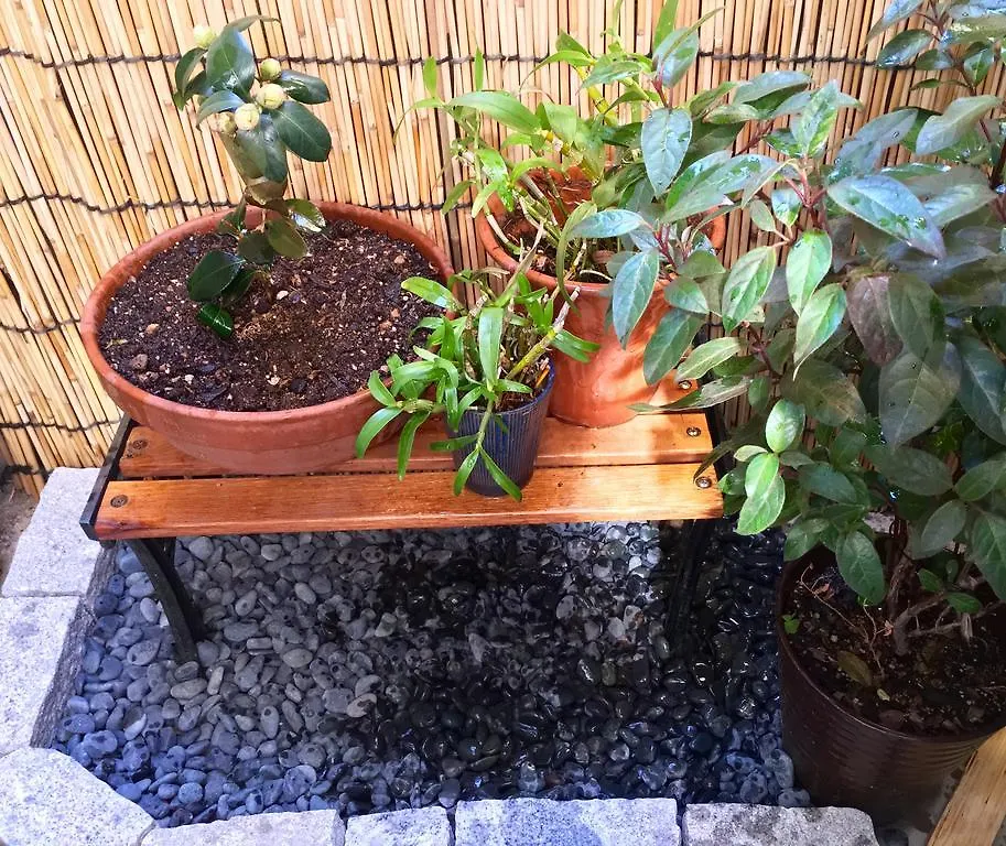 **  Guest House Waon Киото Япония